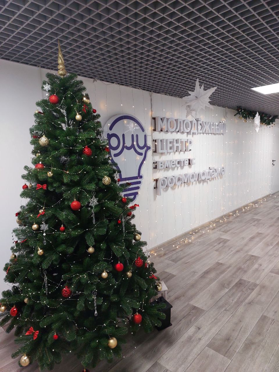 Сургутский район примет участие во Всероссийской акции «Новый год в каждый дом»