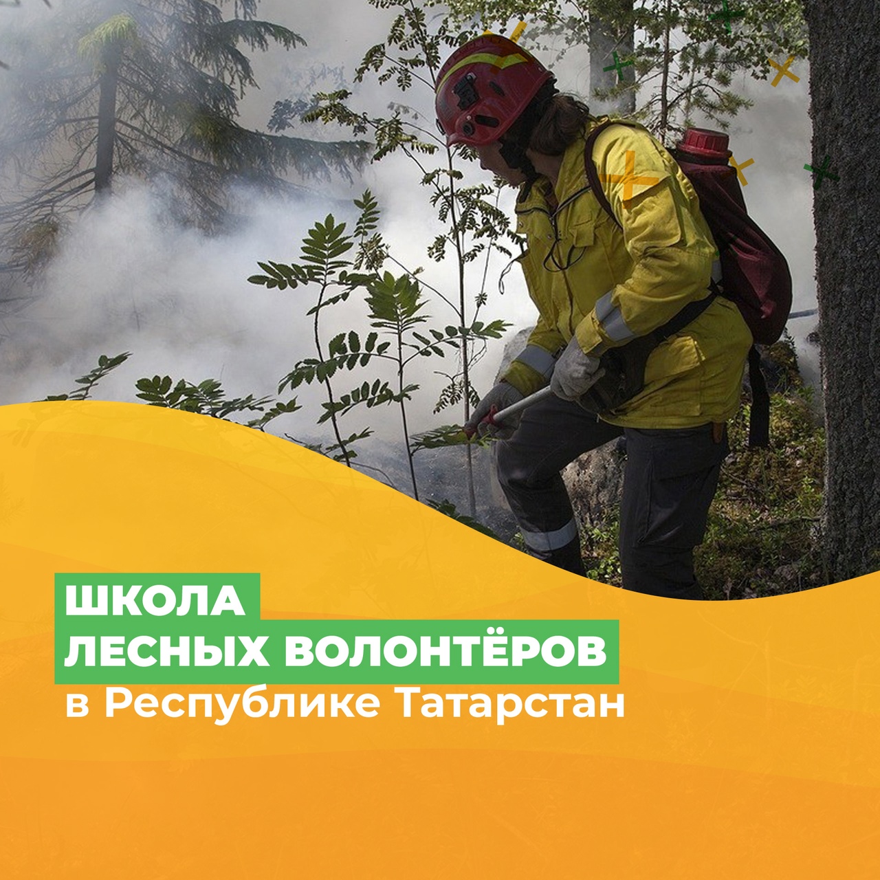 В Татарстане пройдёт «Школа Лесных Волонтёров»