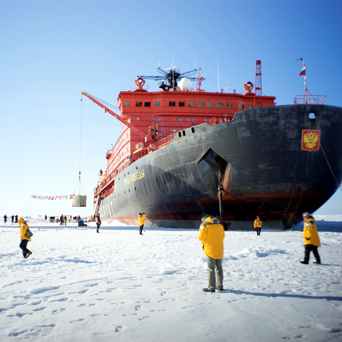 Волонтёры могут стать участниками полярных экспедиций