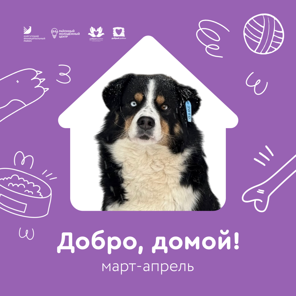 Добро, домой!