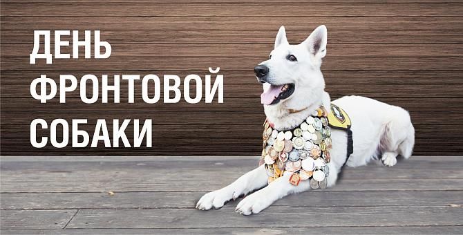 «День фронтовой собаки»