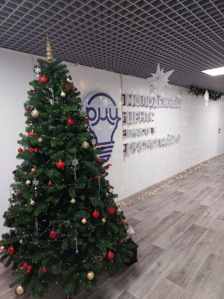 Сургутский район примет участие во Всероссийской акции «Новый год в каждый дом»