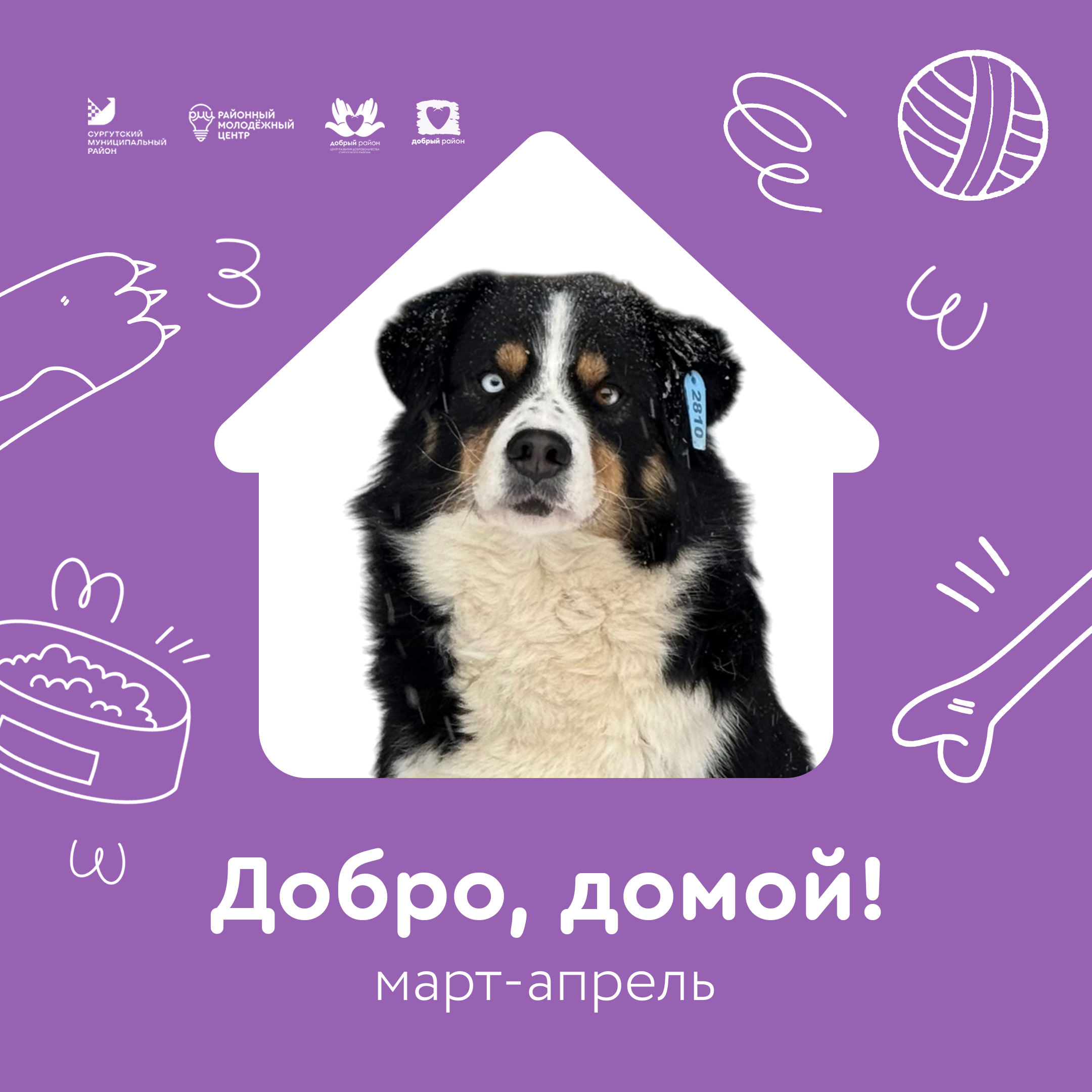 Добро, домой!