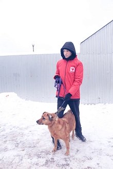 Фото галереи