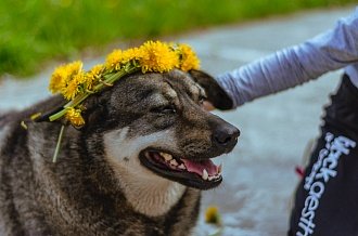 Фото галереи