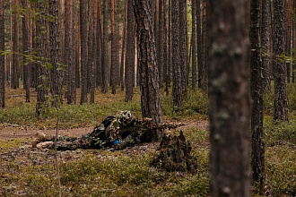 Фото галереи